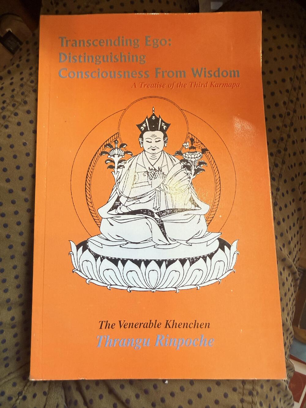 Transcending Ego: Distinguishing Consciousness From Wisdom SriSatguru Orange PB